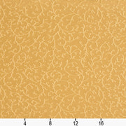 Charlotte - 20630-09 - Fabric by the Yard - 20630-09 - 20630-09_Ruler