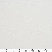 Charlotte - 20650-02 - Fabric by the Yard - 20650-02 - 20650-02_Ruler