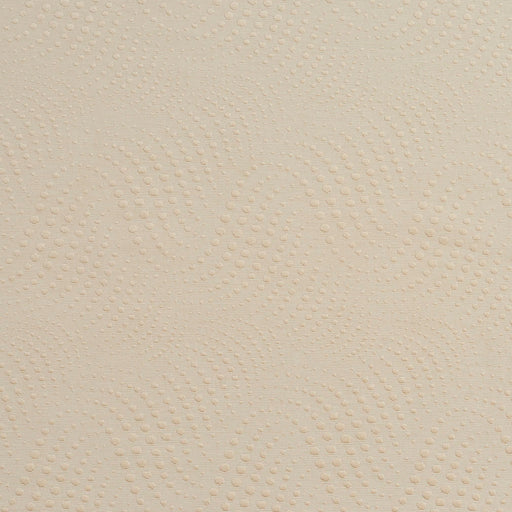Charlotte - 20650-05 - Fabric by the Yard 20650-05
