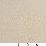 Charlotte - 20650-05 - Fabric by the Yard - 20650-05 - 20650-05_Ruler