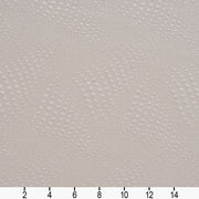 Charlotte - 20650-07 - Fabric by the Yard - 20650-07 - 20650-07_Ruler