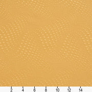 Charlotte - 20650-09 - Fabric by the Yard - 20650-09 - 20650-09_Ruler