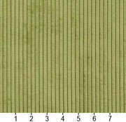 Charlotte - 20700-01 - Fabric by the Yard - 20700-01 - 20700-01_Ruler