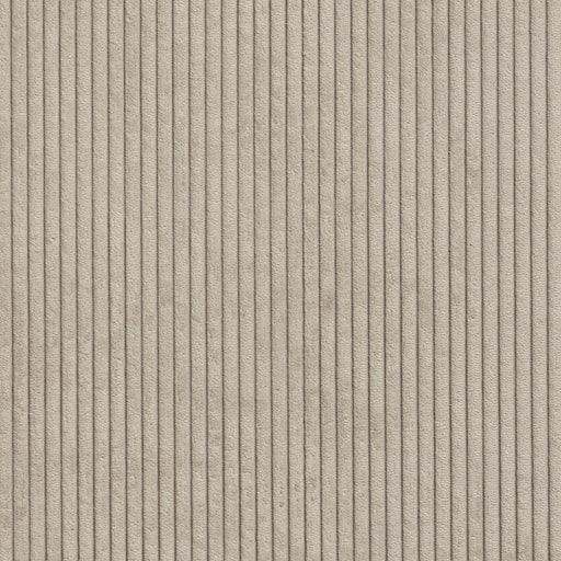 Charlotte - 20700-05 - Fabric by the Yard 20700-05