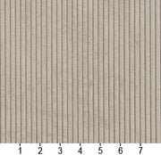 Charlotte - 20700-05 - Fabric by the Yard - 20700-05 - 20700-05_Ruler