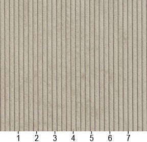 Charlotte - 20700-05 - Fabric by the Yard - 20700-05 - 20700-05_Ruler