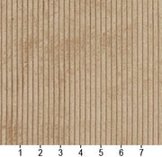 Charlotte - 20700-10 - Fabric by the Yard - 20700-10 - 20700-10_Ruler
