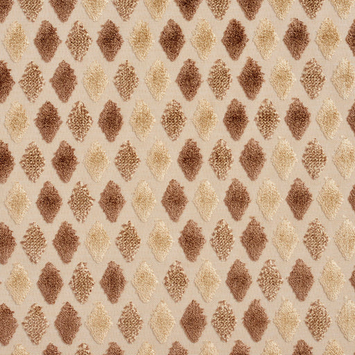 Charlotte - 20790-01 - Fabric by the Yard 20790-01