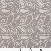 Charlotte - 20800-01 - Fabric by the Yard - 20800-01 - 20800-01_Ruler