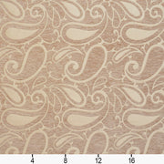 Charlotte - 20800-03 - Fabric by the Yard - 20800-03 - 20800-03_Ruler