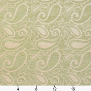 Charlotte - 20800-06 - Fabric by the Yard - 20800-06 - 20800-06_Ruler