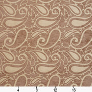 Charlotte - 20800-07 - Fabric by the Yard - 20800-07 - 20800-07_Ruler