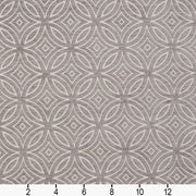 Charlotte - 20810-01 - Fabric by the Yard - 20810-01 - 20810-01_Ruler