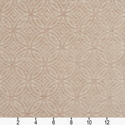 Charlotte - 20810-03 - Fabric by the Yard - 20810-03 - 20810-03_Ruler