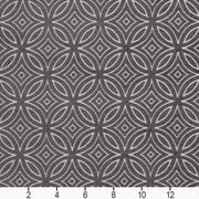 Charlotte - 20810-05 - Fabric by the Yard - 20810-05 - 20810-05_Ruler