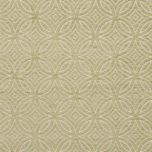 Charlotte - 20810-06 - Fabric by the Yard 20810-06
