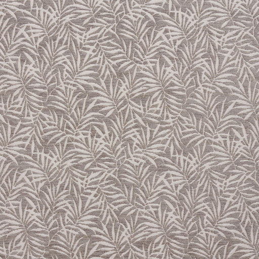 Charlotte - 20820-01 - Fabric by the Yard 20820-01