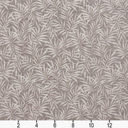 Charlotte - 20820-01 - Fabric by the Yard - 20820-01 - 20820-01_Ruler