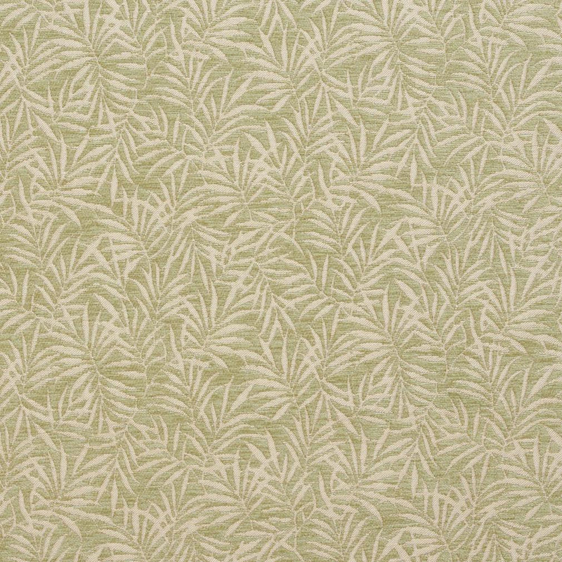 Charlotte - 20820-06 - Fabric by the Yard 20820-06