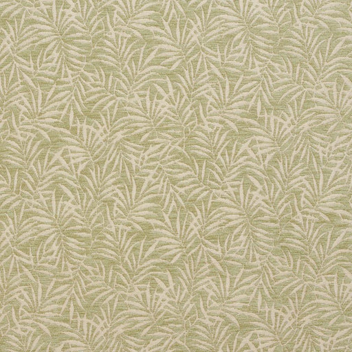 Charlotte - 20820-06 - Fabric by the Yard 20820-06