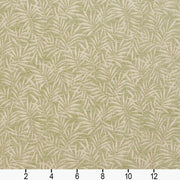 Charlotte - 20820-06 - Fabric by the Yard - 20820-06 - 20820-06_Ruler