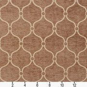 Charlotte - 20830-07 - Fabric by the Yard - 20830-07 - 20830-07_Ruler