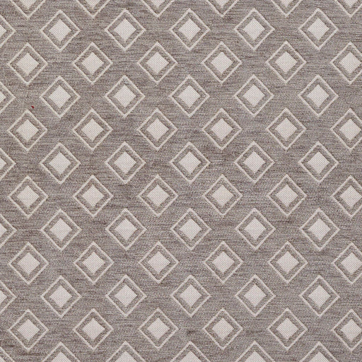 Charlotte - 20840-01 - Fabric by the Yard 20840-01