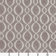 Charlotte - 20860-01 - Fabric by the Yard - 20860-01 - 20860-01_Ruler