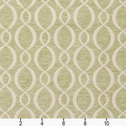 Charlotte - 20860-06 - Fabric by the Yard - 20860-06 - 20860-06_Ruler