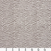 Charlotte - 20870-01 - Fabric by the Yard - 20870-01 - 20870-01_Ruler