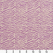 Charlotte - 20870-02 - Fabric by the Yard - 20870-02 - 20870-02_Ruler