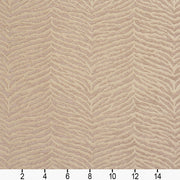 Charlotte - 20870-03 - Fabric by the Yard - 20870-03 - 20870-03_Ruler
