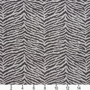 Charlotte - 20870-05 - Fabric by the Yard - 20870-05 - 20870-05_Ruler