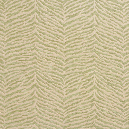 Charlotte - 20870-06 - Fabric by the Yard 20870-06