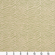 Charlotte - 20870-06 - Fabric by the Yard - 20870-06 - 20870-06_Ruler