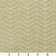 Charlotte - 20880-06 - Fabric by the Yard - 20880-06 - 20880-06_Ruler