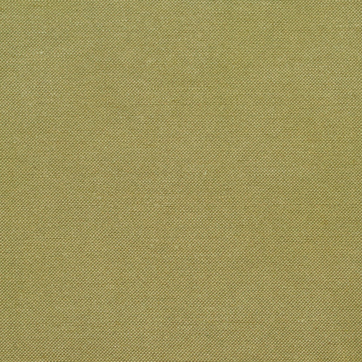 Charlotte - 20900-03 - Fabric by the Yard 20900-03