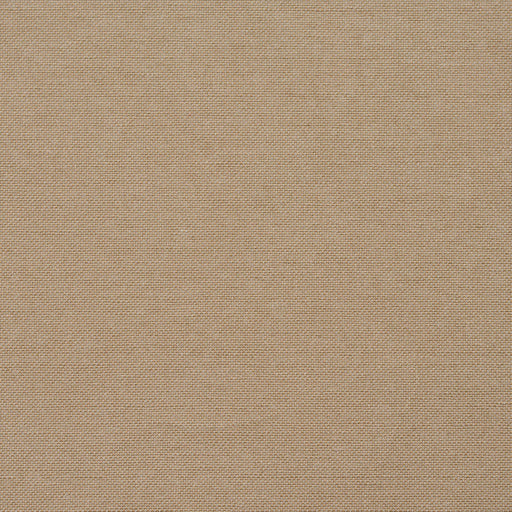 Charlotte - 20900-09 - Fabric by the Yard 20900-09
