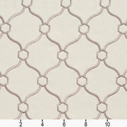 Charlotte - 20910-16 - Fabric by the Yard - 20910-16 - 20910-16_Ruler