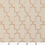 Charlotte - 20930-04 - Fabric by the Yard - 20930-04 - 20930-04_Ruler