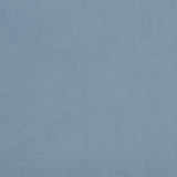 Charlotte - 20940-02 - Fabric by the Yard
