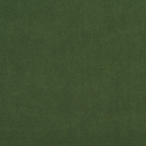 Charlotte - 20940-04 - Fabric by the Yard 20940-04