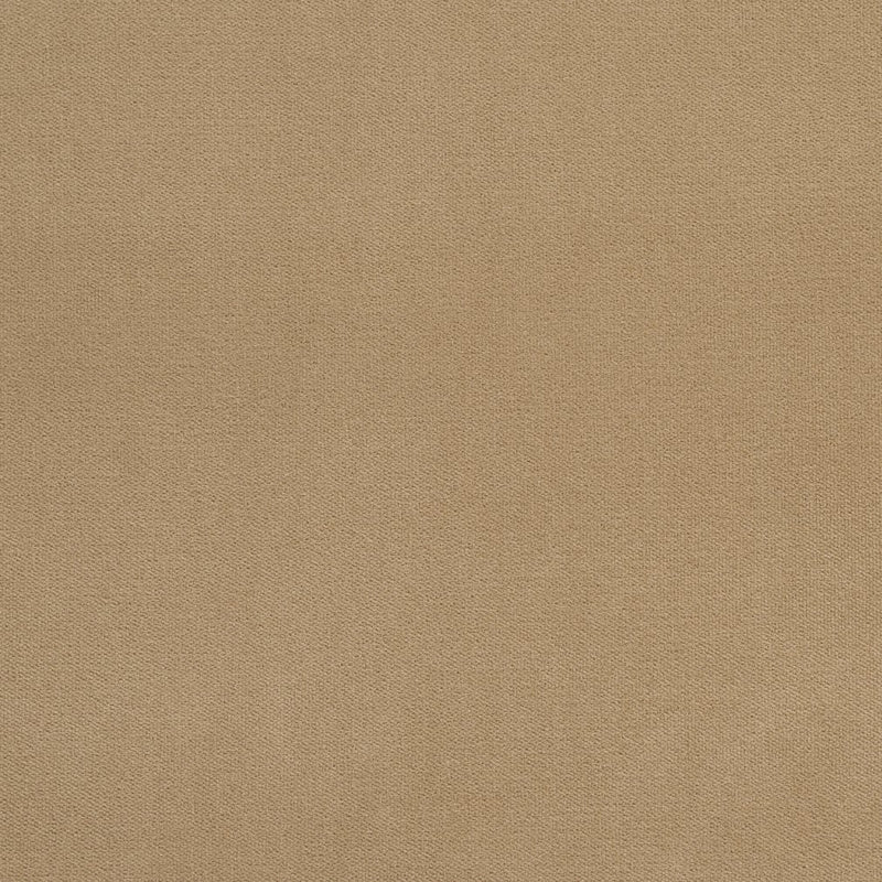 Charlotte - 20940-14 - Fabric by the Yard 20940-14