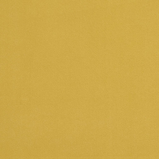 Charlotte - 20940-19 - Fabric by the Yard 20940-19