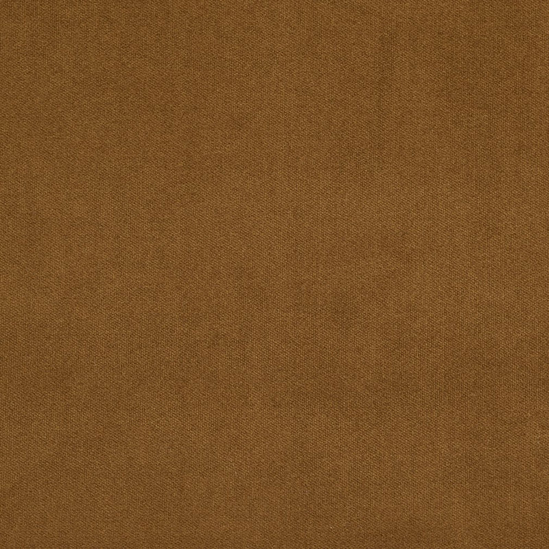 Charlotte - 20940-21 - Fabric by the Yard 20940-21