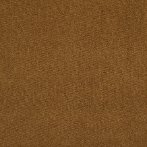 Charlotte - 20940-21 - Fabric by the Yard 20940-21