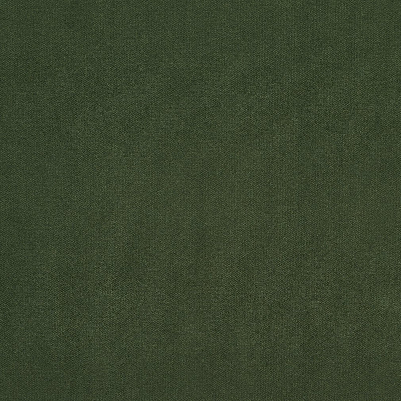 Charlotte - 20940-25 - Fabric by the Yard 20940-25