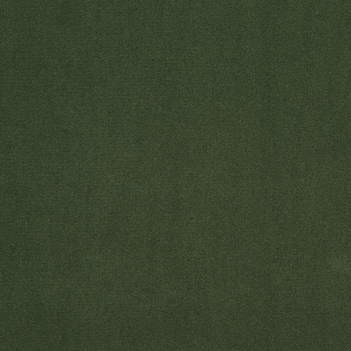 Charlotte - 20940-25 - Fabric by the Yard 20940-25