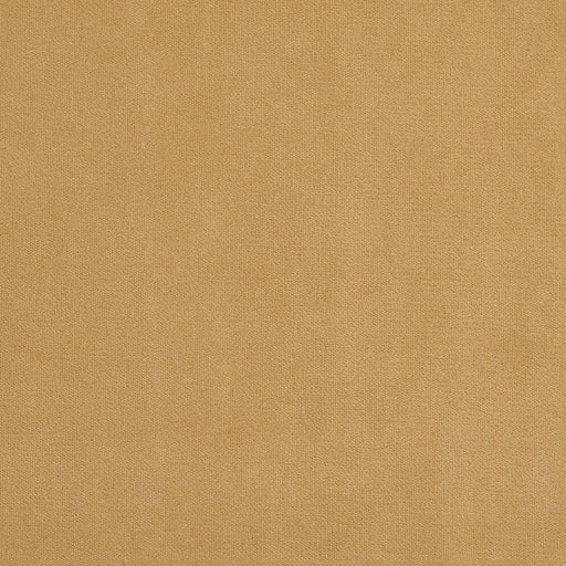 Charlotte - 20940-26 - Fabric by the Yard 20940-26
