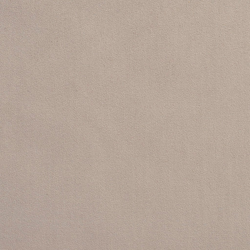 Charlotte - 2202 - Pewter - Fabric by the Yard Pewter
